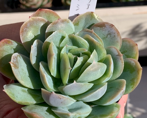 5993aa30bc45d9a259c3011d3936a1