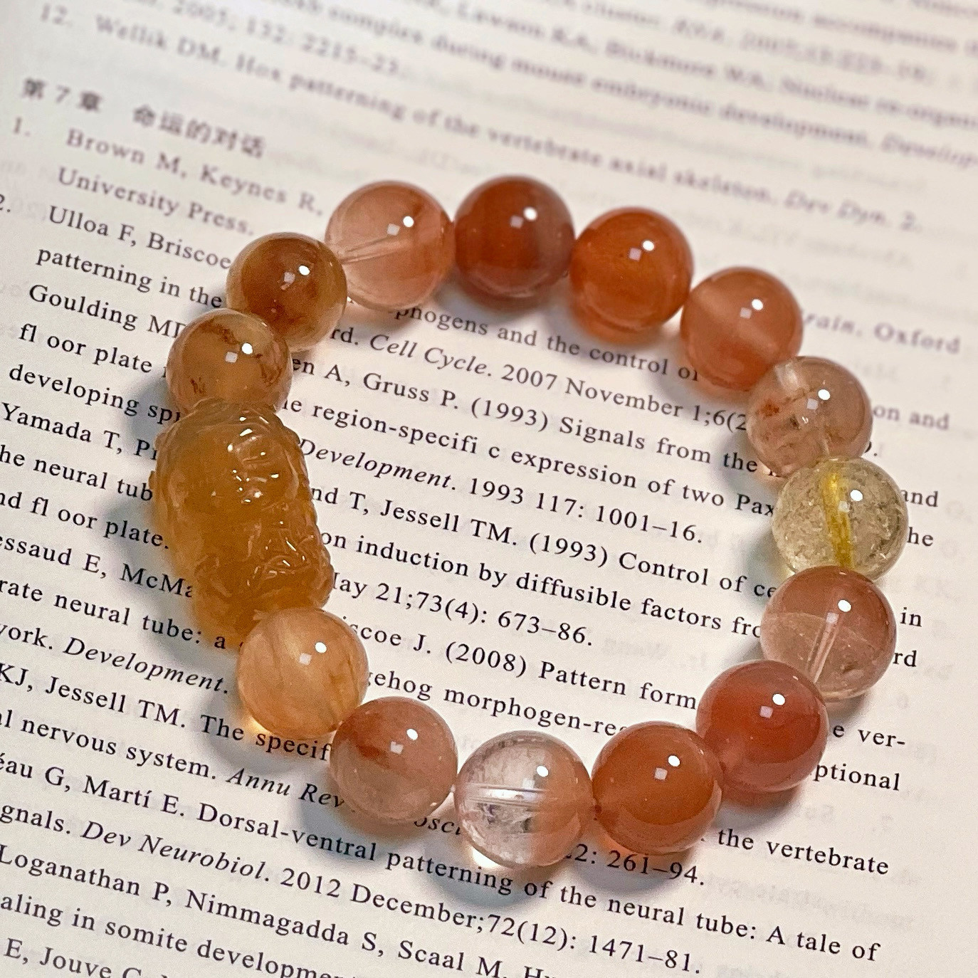 【34号】 自信 もじもじしないで行動します。