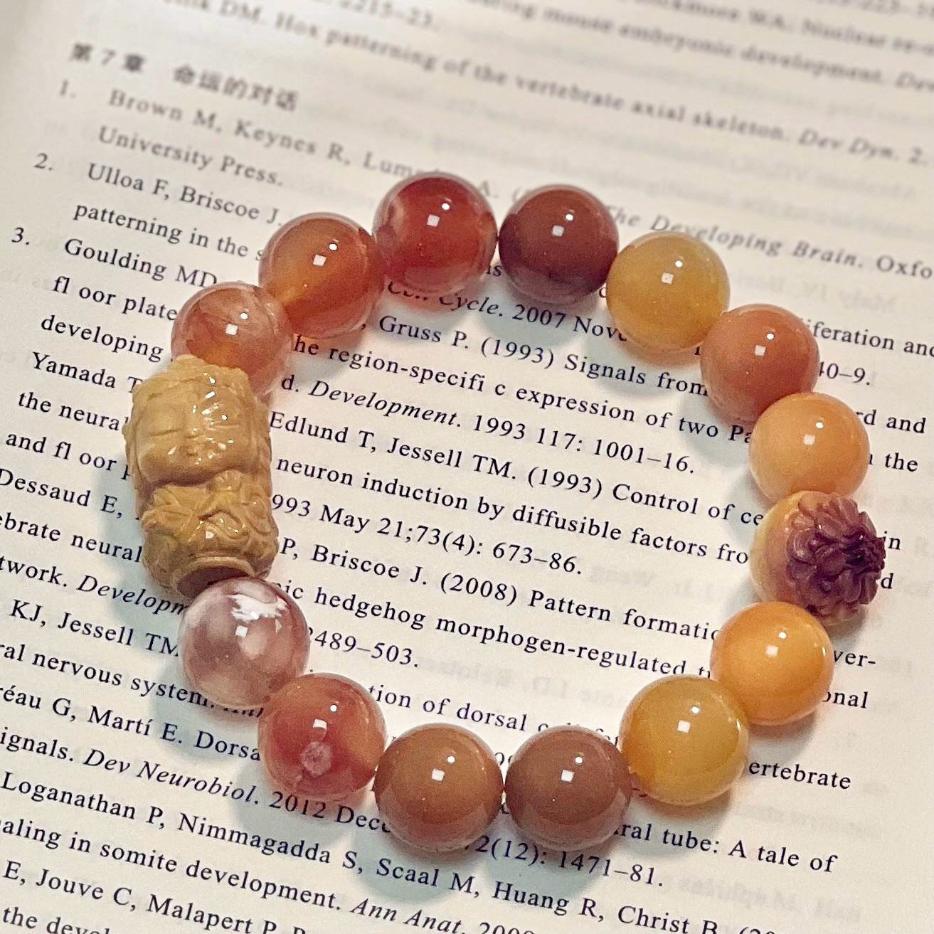 【28号】 人間関係がつながって緊密します。