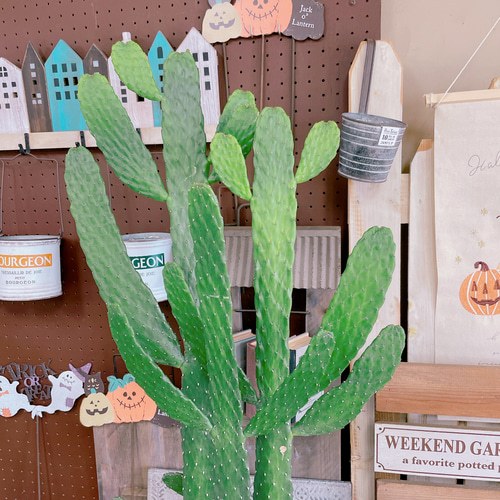 現品SALE♡【大きめバンザイさぼてん】存在感抜群！ホワイト系ブリキ鉢