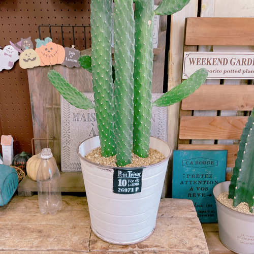 現品SALE♡【大きめバンザイさぼてん】存在感抜群！ホワイト系ブリキ鉢