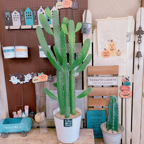 現品SALE♡【大きめバンザイさぼてん】存在感抜群！ホワイト系ブリキ鉢