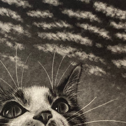 猫◆銅版画◆佐藤恵美「はこべ」銅版画 サインナンバー入り 額装 fe1c292e9c7507ab4a9e541e748750