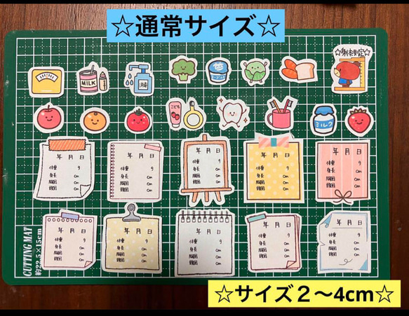 検診記録シール♡定期検診、身体測定、母子手帳、成長記録、体重、身長、赤ちゃん 3枚目の画像