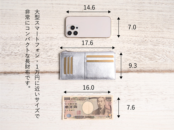 【3日以内発送】厚さ僅か1cm！バッグにもすっきり入るフラグメントケース　ボルセッタメタリック　MH1484 4枚目の画像