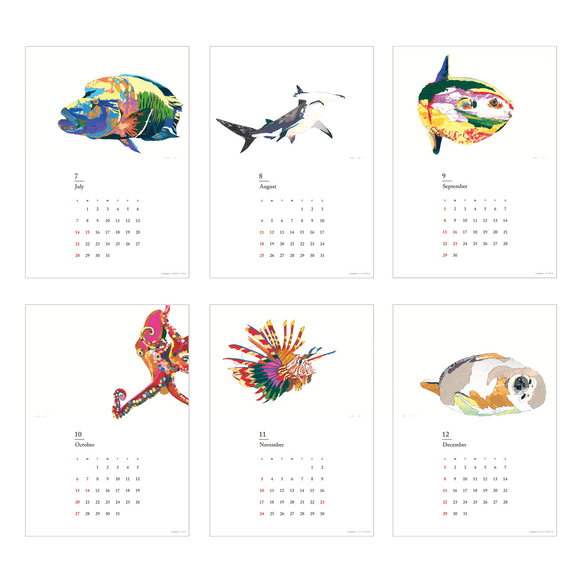 【50部限定】[2024 カレンダー｜calendar] animalor 5枚目の画像