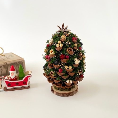 ⚠️専用品⚠️ 大王松 の 松ぼっくりツリー プリザーブド ドライフラワー ツリー ⚠️専用品⚠️ 大王松 の 松ぼっくりツリー プリザーブド