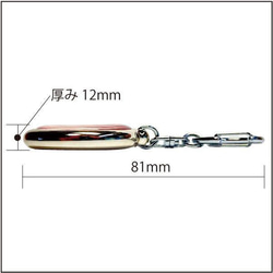 道路標識キーホルダー/二輪の自動車以外の自動車通行止め/直径31mmプラドーム型 6枚目の画像