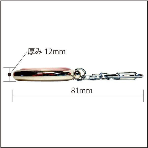 道路標識キーホルダー/大型貨物自動車通行止め/直径31mmプラドーム型 6枚目の画像