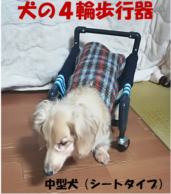 犬の４輪歩行器、中型犬歩行器（中型犬シートタイプ） 1枚目の画像