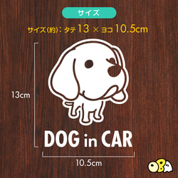 DOG IN CAR/ワイマラナーA カッティングステッカー KIDS IN・BABY IN・SAFETY DRIVE 3枚目の画像