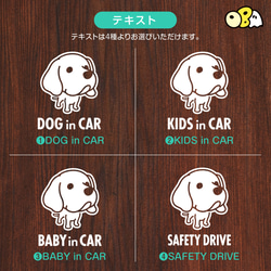 DOG IN CAR/ワイマラナーA カッティングステッカー KIDS IN・BABY IN・SAFETY DRIVE 4枚目の画像