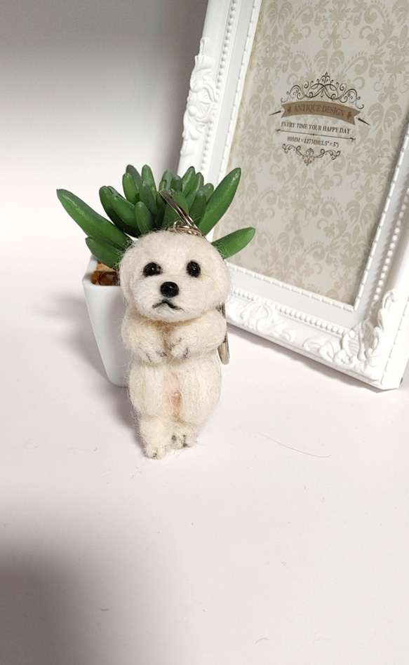 羊毛フェルト マルチーズのキーホルダー その他アクセサリー Rurumaru