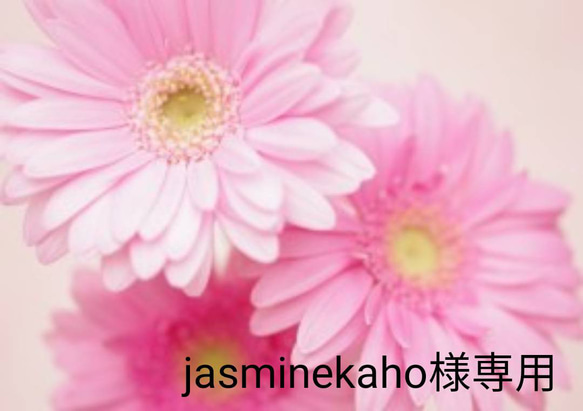 jasminekaho様専用 1枚目の画像