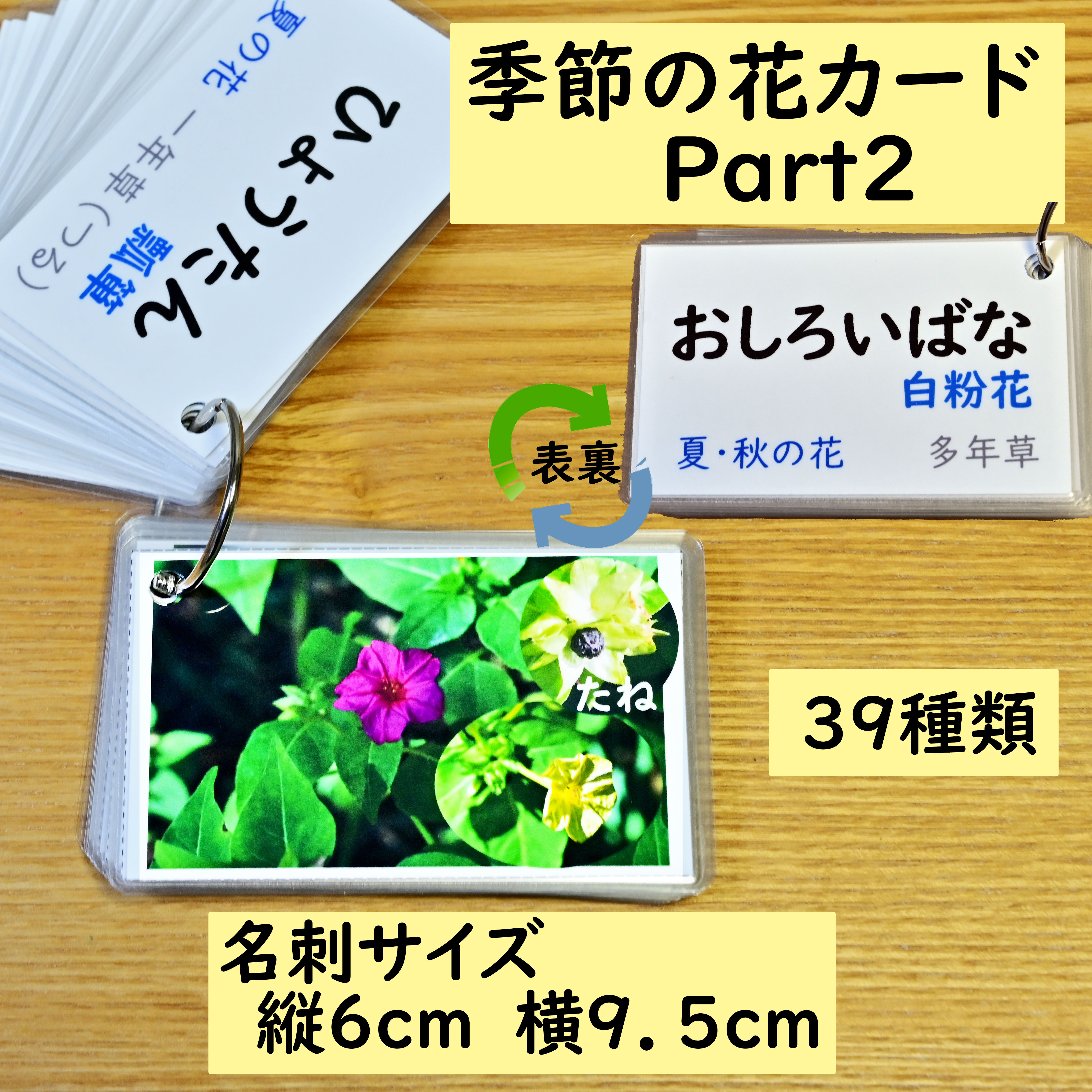 楽天市場】登録商標 季節のパズル 春夏秋冬4種類セット＆きせ