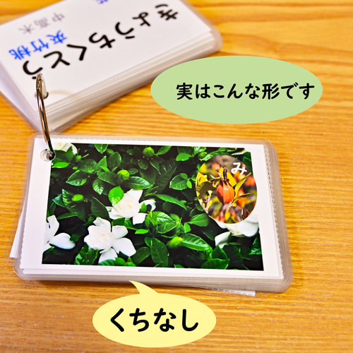 季節の花カード Part2 四季の学習に 小学校受験に おもちゃ
