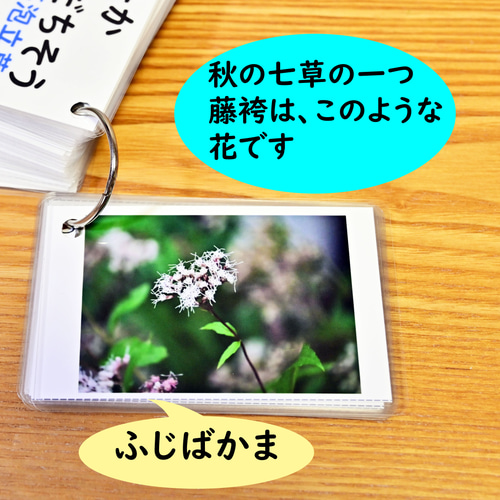 生活図鑑 お店カード | すべての商品 | | KUMON SHOP
