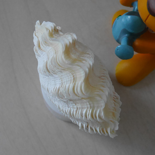 LEDライト内臓の台座付き 極小! 激美！ 宮古島産 シャコ貝ランプ 台座