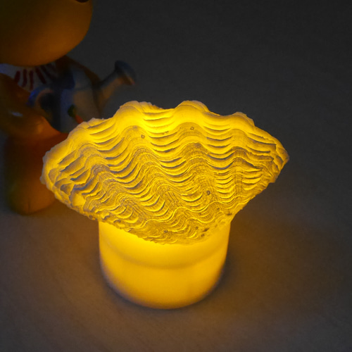 LEDライト内臓の台座付き 極小! 激美！ 宮古島産 シャコ貝ランプ 台座