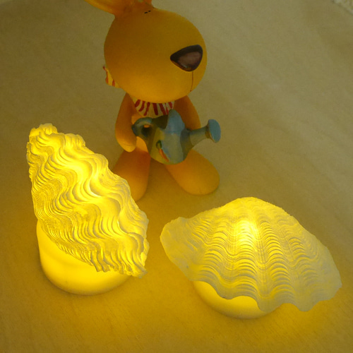 LEDライト内臓の台座付き 極小! 激美！ 宮古島産 シャコ貝ランプ