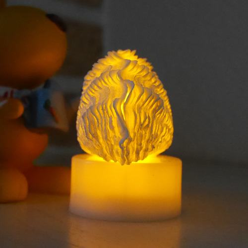 シャコ貝のルームランプ LEDライト内臓の台座付き 極小! 激美！ 宮古島産 シャコ貝ランプ