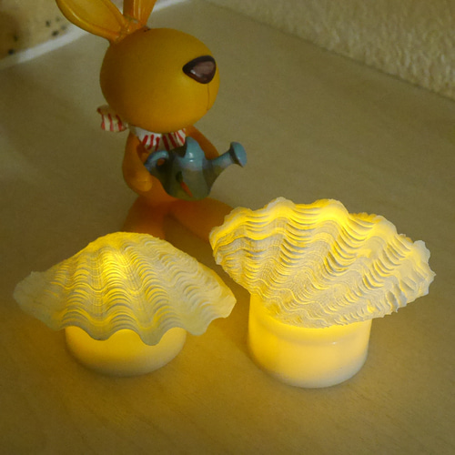 シャコ貝のルームランプ LEDライト内臓の台座付き 極小! 激美！ 宮古島産 シャコ貝ランプ