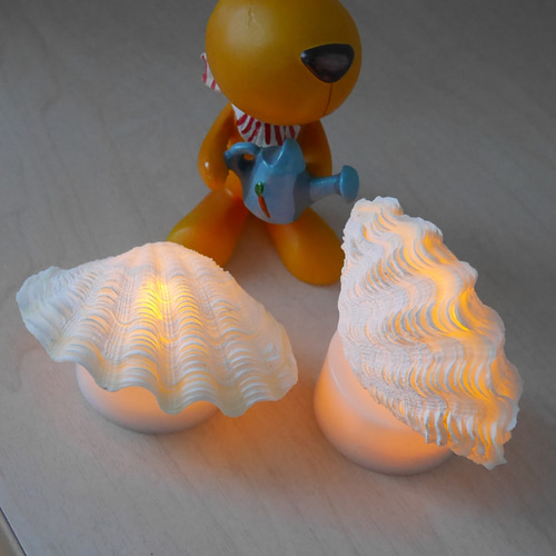 おきなわ小浜島産ヒレシャコ貝ランプ LEDライト内臓の台座付き 極小! 激美！ 宮古島産 シャコ貝ランプ