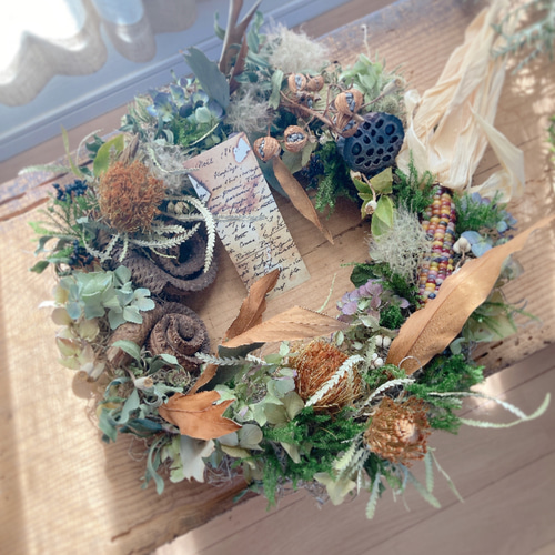 特大 クリスマスリース トウモロコシとドライアンドラ リース mou 通販