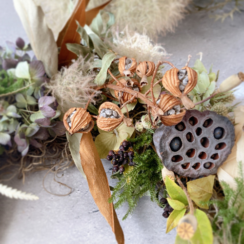 30㎝　ドライアンドラとコットンの大人ブラウンクリスマスリース　グレビレア 特大 クリスマスリース トウモロコシとドライアンドラ リース mou 通販