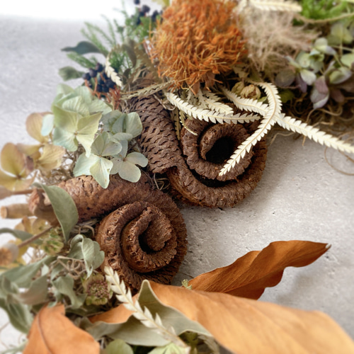 30㎝　ドライアンドラとコットンの大人ブラウンクリスマスリース　グレビレア 30㎝ ドライアンドラとコットンの大人ブラウンクリスマスリース