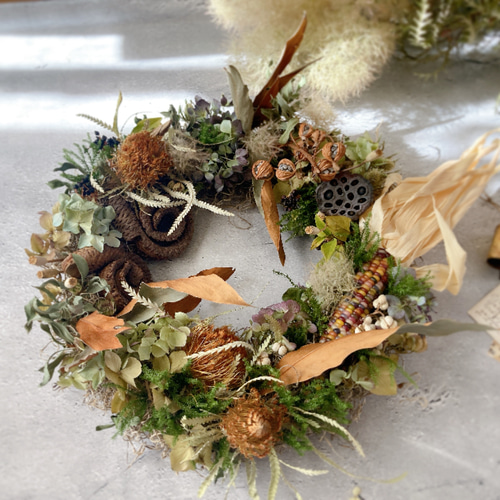 特大 クリスマスリース トウモロコシとドライアンドラ リース mou 通販