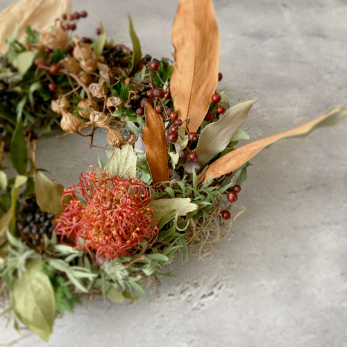 専用＊プロテア＆フォルモーサ ドライフラワーリース 専用＊プロテア