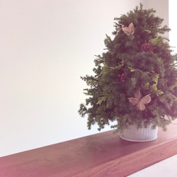 納期短縮応相談!!自然素材100％フレッシュ＆ドライフラワー　フレッシュグリーンと木の実のクリスマスツリー2023 9枚目の画像