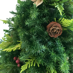 納期短縮応相談!!自然素材100％フレッシュ＆ドライフラワー　フレッシュグリーンと木の実のクリスマスツリー2023 10枚目の画像