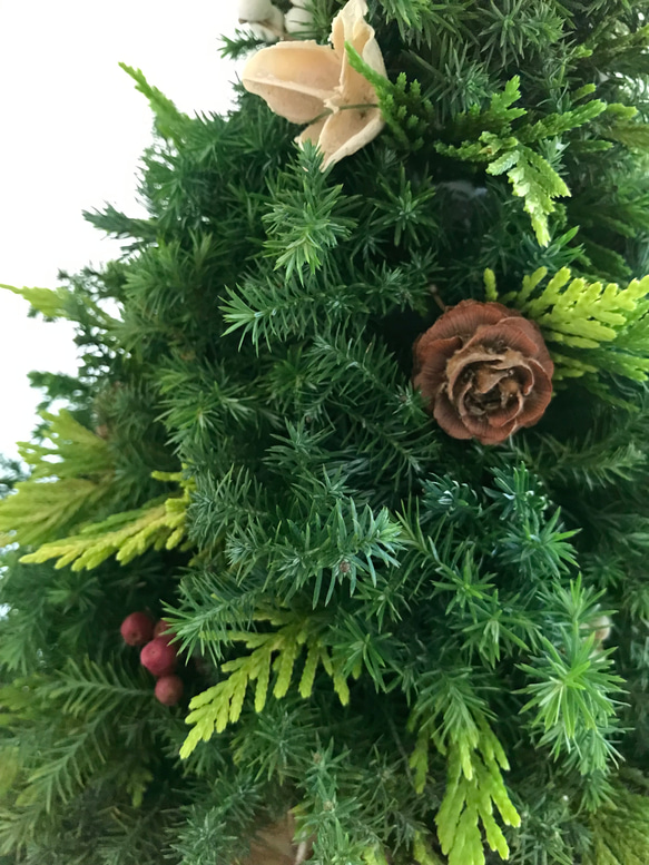 納期短縮応相談!!自然素材100％フレッシュ＆ドライフラワー　フレッシュグリーンと木の実のクリスマスツリー2023 10枚目の画像