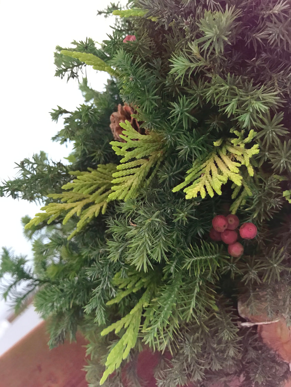 納期短縮応相談!!自然素材100％フレッシュ＆ドライフラワー　フレッシュグリーンと木の実のクリスマスツリー2023 3枚目の画像