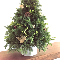納期短縮応相談!!自然素材100％フレッシュ＆ドライフラワー　フレッシュグリーンと木の実のクリスマスツリー2023 1枚目の画像