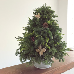 納期短縮応相談!!自然素材100％フレッシュ＆ドライフラワー　フレッシュグリーンと木の実のクリスマスツリー2023 12枚目の画像
