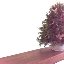 納期短縮応相談!!自然素材100％フレッシュ＆ドライフラワー　フレッシュグリーンと木の実のクリスマスツリー2023 8枚目の画像