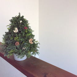 納期短縮応相談!!自然素材100％フレッシュ＆ドライフラワー　フレッシュグリーンと木の実のクリスマスツリー2023 4枚目の画像