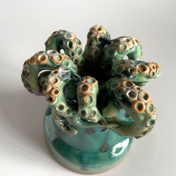 多幸（蛸）の植木鉢 5枚目の画像