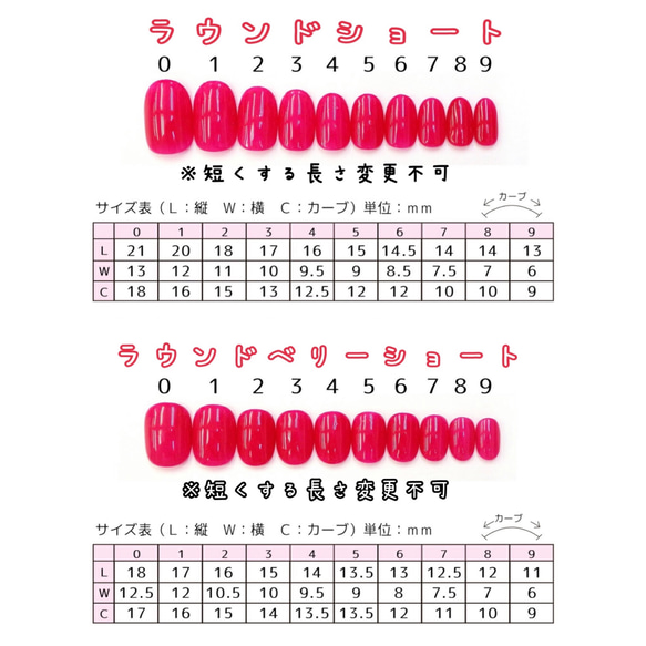 秋冬ネイル♡ワインレッド系カラーマグネットネイル（両手分） 4枚目の画像