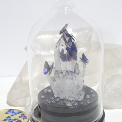 ガラスドーム付き　エポキシ樹脂(レジン)製・クリスタルとモルフォ蝶のオブジェ 2枚目の画像