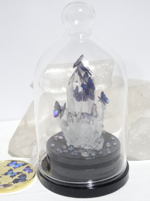 ガラスドーム付き　エポキシ樹脂(レジン)製・クリスタルとモルフォ蝶のオブジェ 2枚目の画像