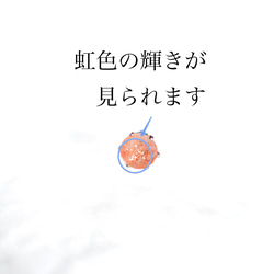  第6張的照片