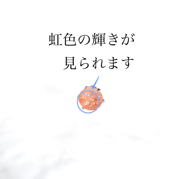  第6張的照片