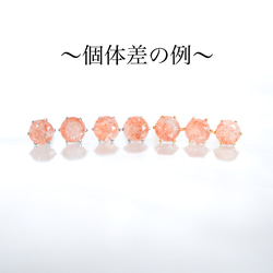  第8張的照片