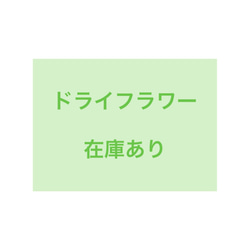 ドライフラワー在庫あり・制作済み作品 1枚目の画像