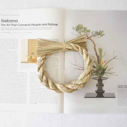 超早割お正月2026】紅色の胡蝶蘭と綿のお正月飾り しめ縄・しめ飾り