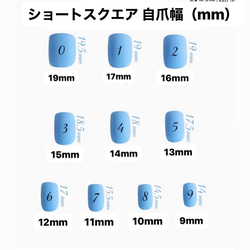  第5張的照片